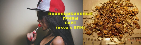мдпв Новокубанск