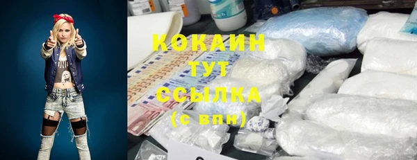 PSILOCYBIN Новодвинск