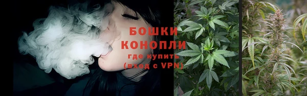 MESCALINE Новозыбков