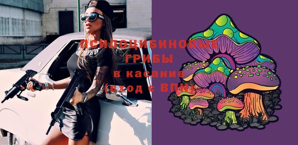PSILOCYBIN Новодвинск