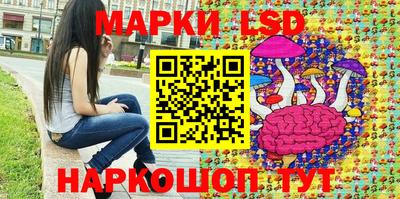 крисы Абакан