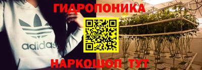 крисы Волжский