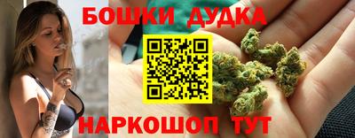 крисы Абакан