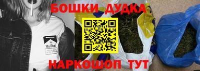 крисы Абакан