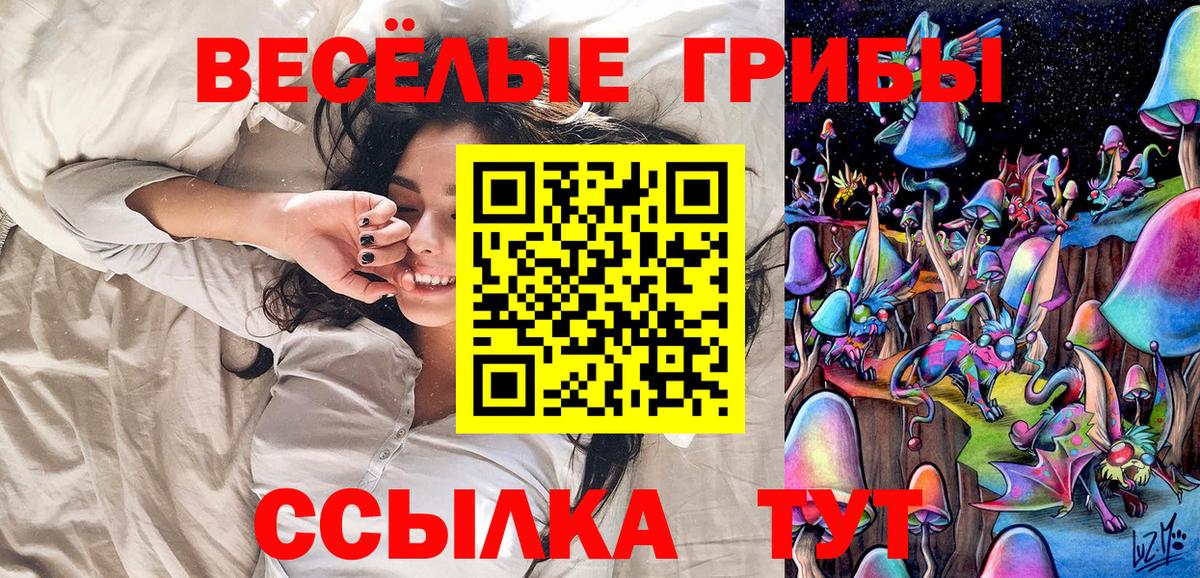 Галлюциногенные грибы Psilocybe Алушта