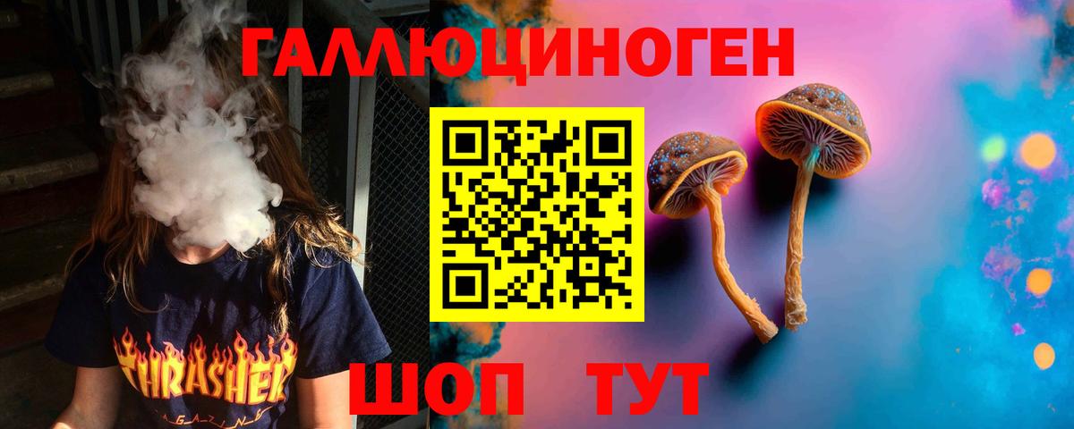 хочу   Псилоцибиновые грибы Psilocybine cubensis  Вход с VPN  Алушта 