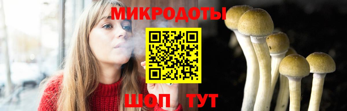 Галлюциногенные грибы GOLDEN TEACHER  Вход с VPN  Алушта 